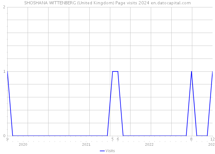 SHOSHANA WITTENBERG (United Kingdom) Page visits 2024 