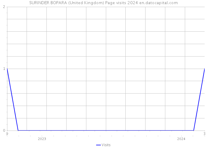 SURINDER BOPARA (United Kingdom) Page visits 2024 