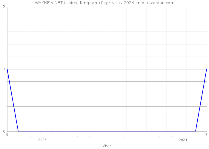 WAYNE VINET (United Kingdom) Page visits 2024 