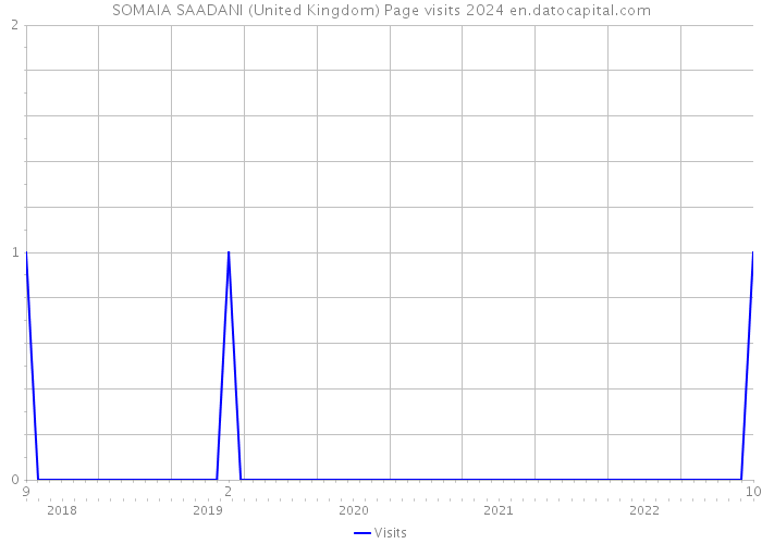SOMAIA SAADANI (United Kingdom) Page visits 2024 