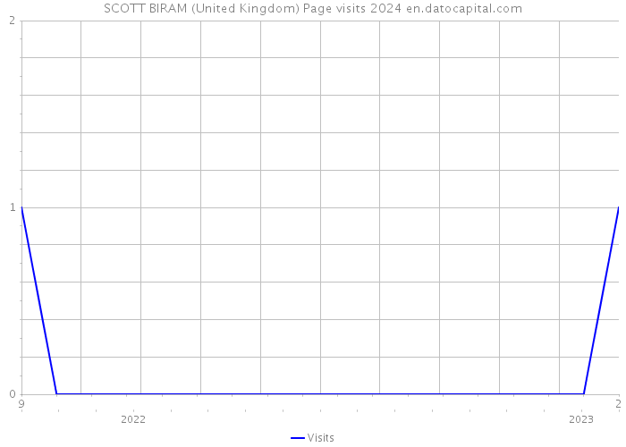 SCOTT BIRAM (United Kingdom) Page visits 2024 