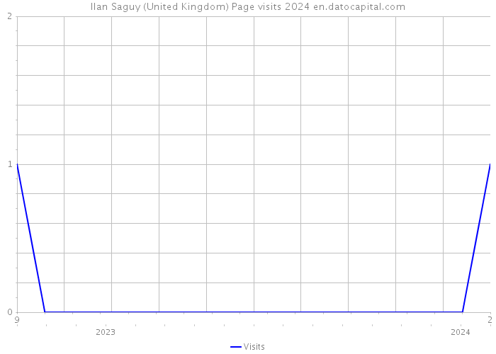 Ilan Saguy (United Kingdom) Page visits 2024 