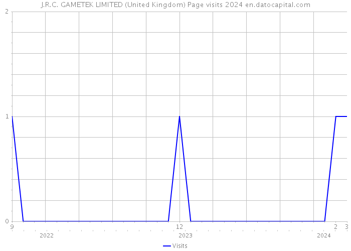 J.R.C. GAMETEK LIMITED (United Kingdom) Page visits 2024 