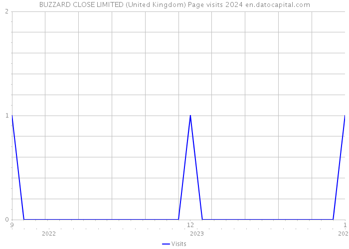 BUZZARD CLOSE LIMITED (United Kingdom) Page visits 2024 