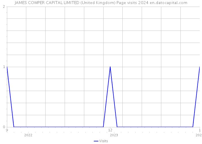 JAMES COWPER CAPITAL LIMITED (United Kingdom) Page visits 2024 