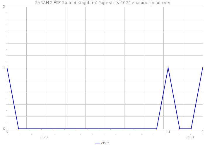 SARAH SIESE (United Kingdom) Page visits 2024 