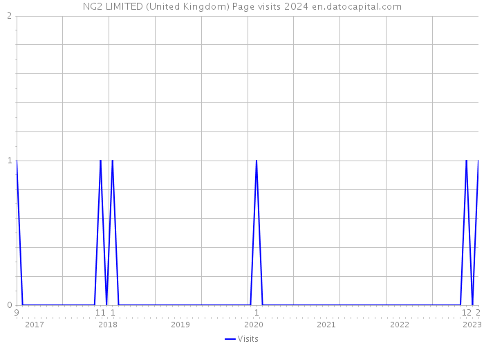 NG2 LIMITED (United Kingdom) Page visits 2024 
