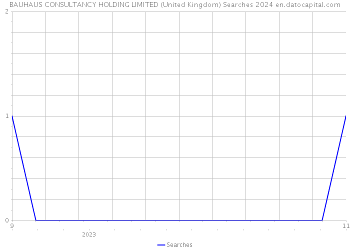BAUHAUS CONSULTANCY HOLDING LIMITED (United Kingdom) Searches 2024 