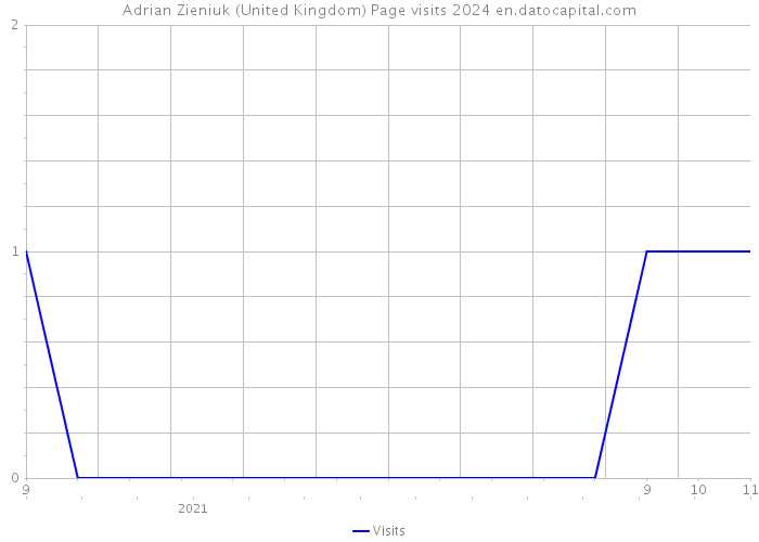 Adrian Zieniuk (United Kingdom) Page visits 2024 