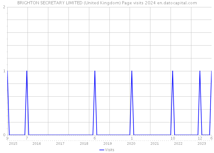 BRIGHTON SECRETARY LIMITED (United Kingdom) Page visits 2024 