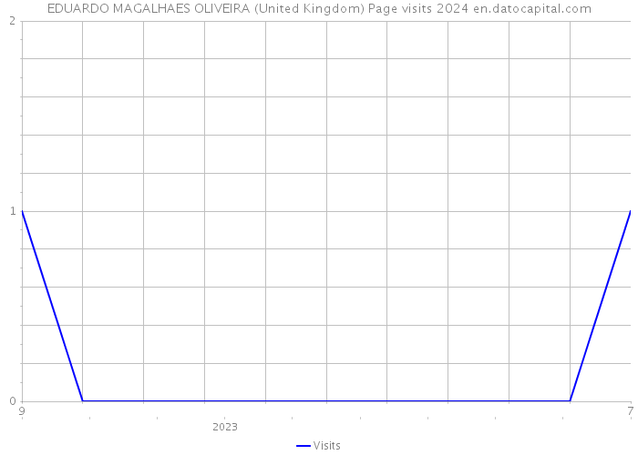 EDUARDO MAGALHAES OLIVEIRA (United Kingdom) Page visits 2024 