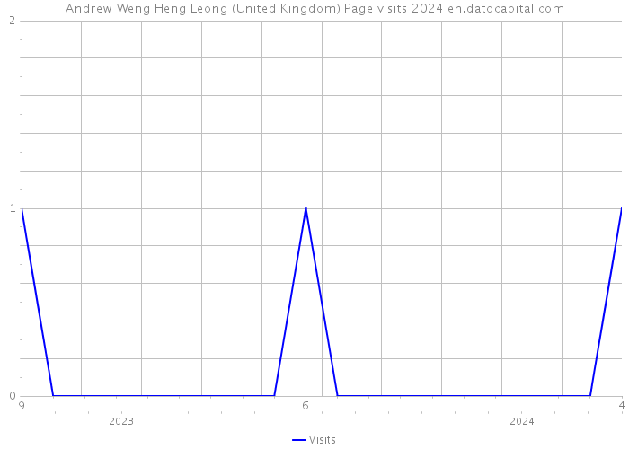 Andrew Weng Heng Leong (United Kingdom) Page visits 2024 