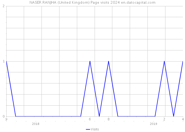 NASER RANJHA (United Kingdom) Page visits 2024 