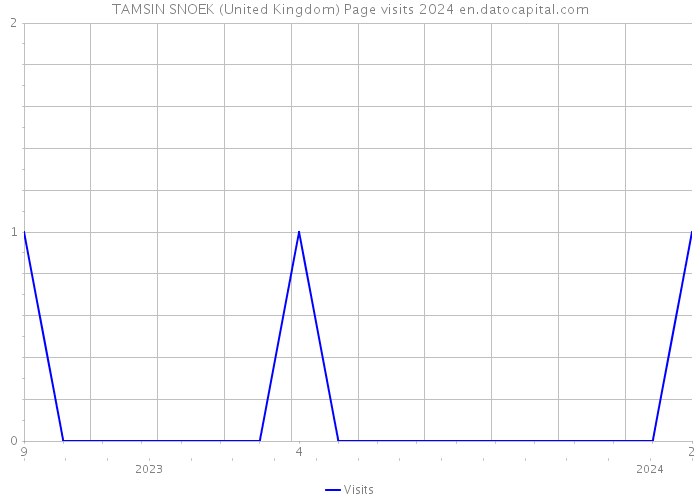 TAMSIN SNOEK (United Kingdom) Page visits 2024 