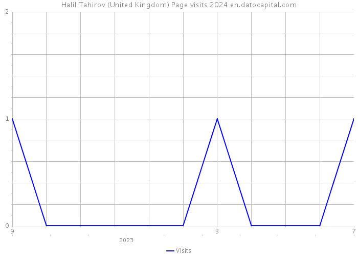 Halil Tahirov (United Kingdom) Page visits 2024 