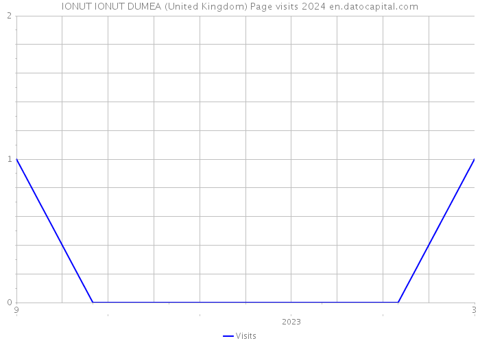 IONUT IONUT DUMEA (United Kingdom) Page visits 2024 