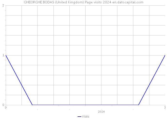 GHEORGHE BODAS (United Kingdom) Page visits 2024 