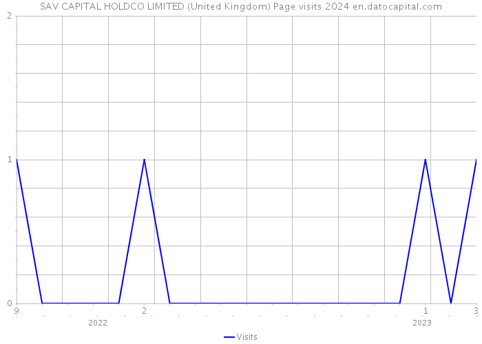 SAV CAPITAL HOLDCO LIMITED (United Kingdom) Page visits 2024 
