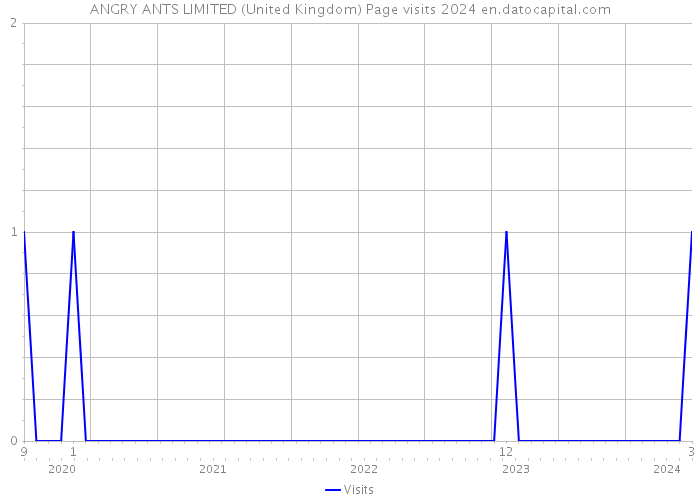 ANGRY ANTS LIMITED (United Kingdom) Page visits 2024 
