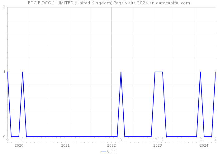 BDC BIDCO 1 LIMITED (United Kingdom) Page visits 2024 