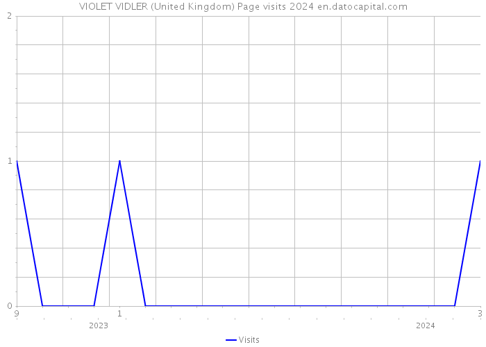 VIOLET VIDLER (United Kingdom) Page visits 2024 