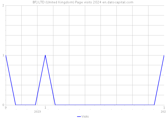 BFJ LTD (United Kingdom) Page visits 2024 
