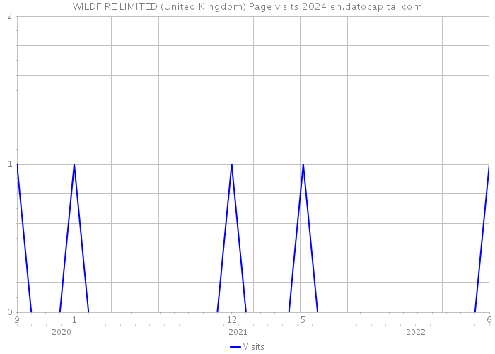 WILDFIRE LIMITED (United Kingdom) Page visits 2024 