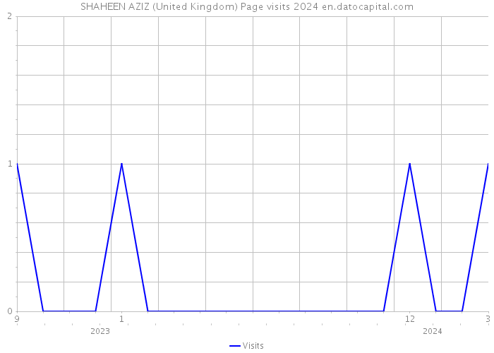 SHAHEEN AZIZ (United Kingdom) Page visits 2024 