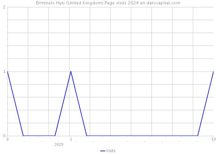 Erminelo Hysi (United Kingdom) Page visits 2024 