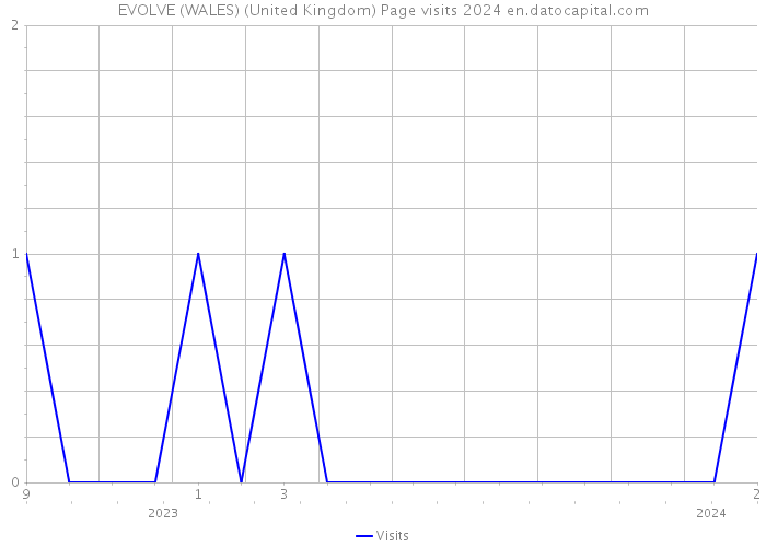 EVOLVE (WALES) (United Kingdom) Page visits 2024 