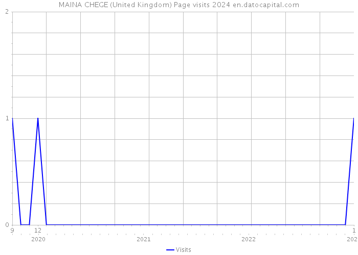 MAINA CHEGE (United Kingdom) Page visits 2024 