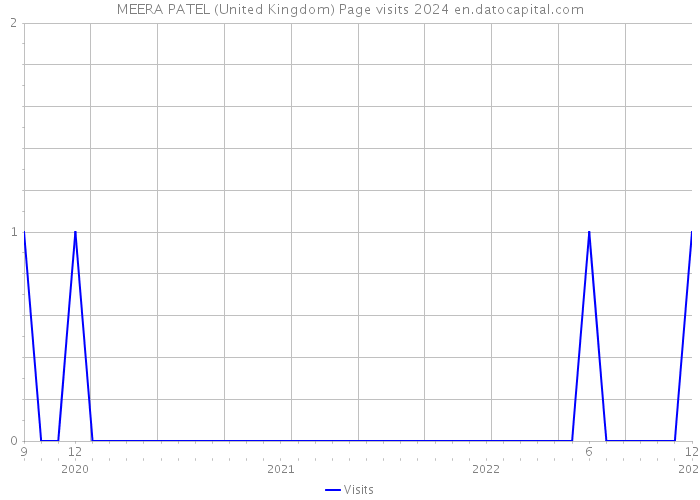 MEERA PATEL (United Kingdom) Page visits 2024 