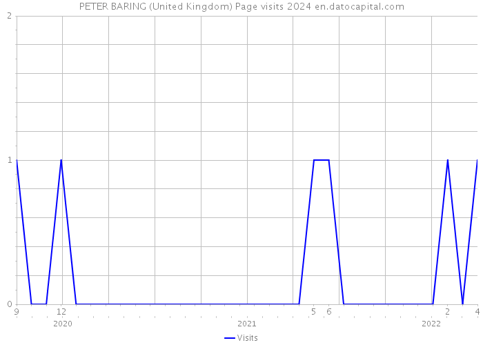 PETER BARING (United Kingdom) Page visits 2024 