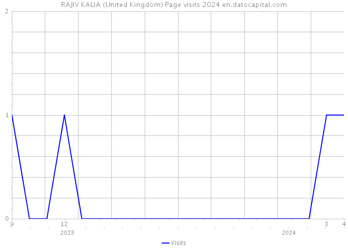 RAJIV KALIA (United Kingdom) Page visits 2024 