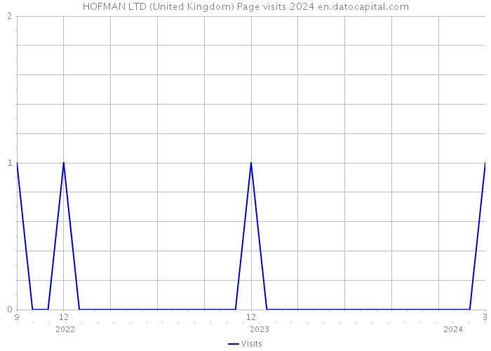 HOFMAN LTD (United Kingdom) Page visits 2024 