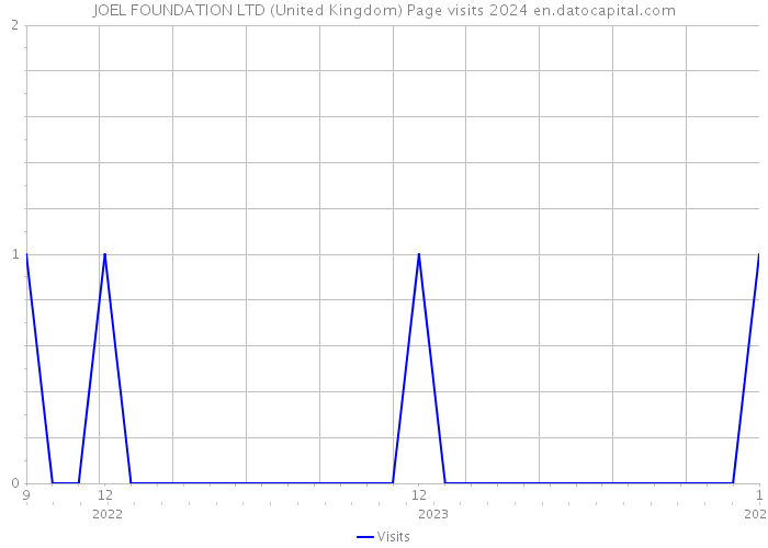 JOEL FOUNDATION LTD (United Kingdom) Page visits 2024 