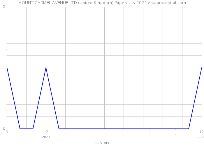 MOUNT CARMEL AVENUE LTD (United Kingdom) Page visits 2024 