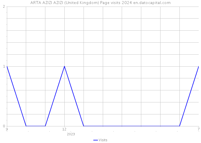 ARTA AZIZI AZIZI (United Kingdom) Page visits 2024 