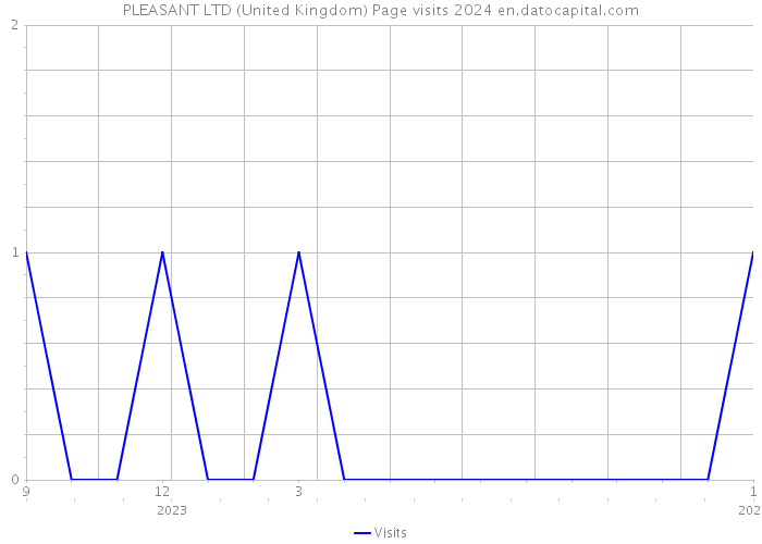 PLEASANT LTD (United Kingdom) Page visits 2024 