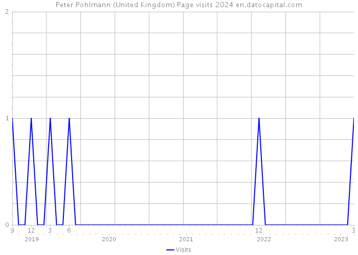 Peter Pohlmann (United Kingdom) Page visits 2024 