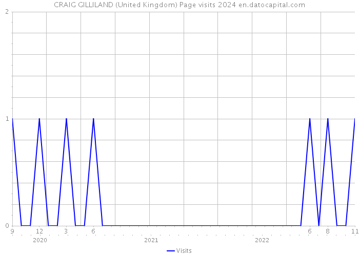 CRAIG GILLILAND (United Kingdom) Page visits 2024 