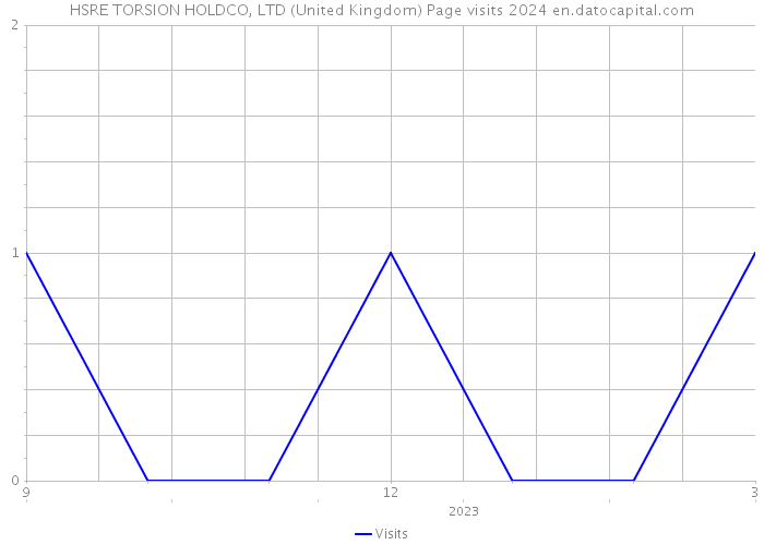 HSRE TORSION HOLDCO, LTD (United Kingdom) Page visits 2024 