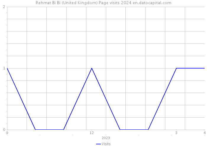 Rehmat Bi Bi (United Kingdom) Page visits 2024 