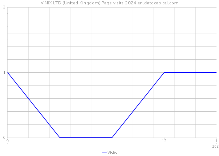 VINIX LTD (United Kingdom) Page visits 2024 