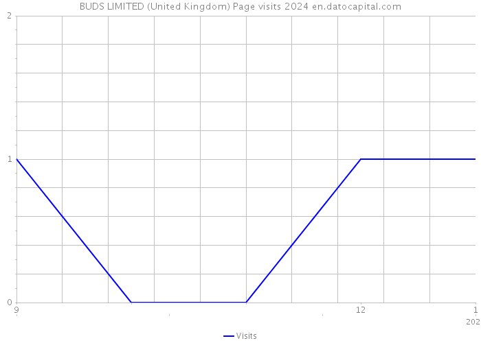 BUDS LIMITED (United Kingdom) Page visits 2024 