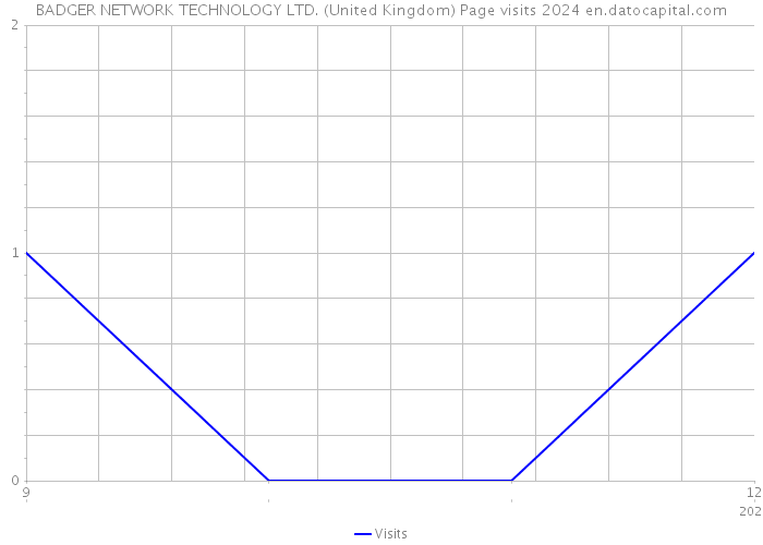 BADGER NETWORK TECHNOLOGY LTD. (United Kingdom) Page visits 2024 