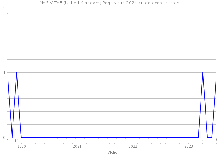 NAS VITAE (United Kingdom) Page visits 2024 