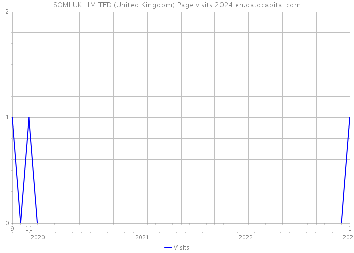 SOMI UK LIMITED (United Kingdom) Page visits 2024 