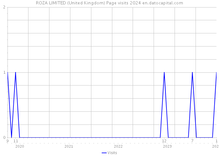 ROZA LIMITED (United Kingdom) Page visits 2024 