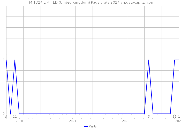 TM 1324 LIMITED (United Kingdom) Page visits 2024 